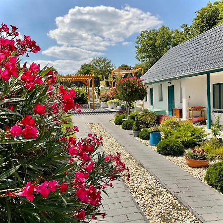 Ferienwohnung Voelgyhid Vintage Apartman Pusztaszemes Exterior foto